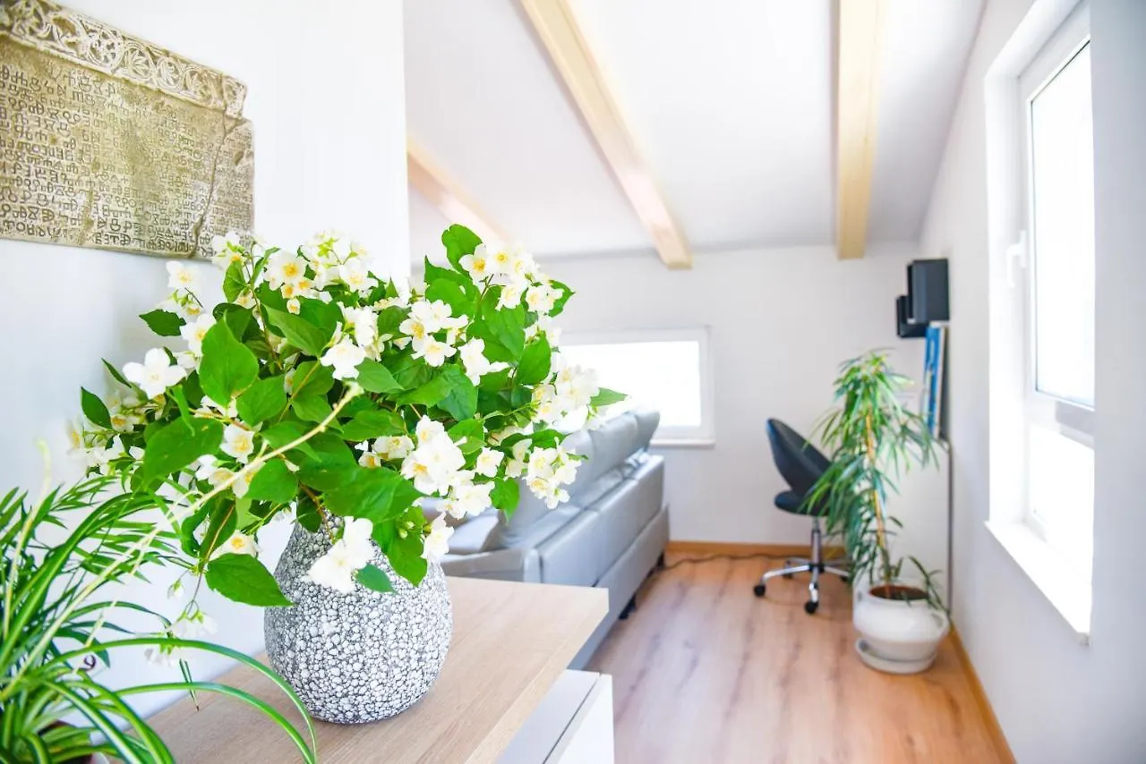 Apartment Holiday Home - Istrian Dream With Swimming Pool Peroj